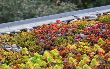 the cost of Llangynwyd green roof installation