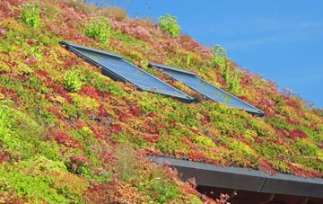 Llangynwyd living roof systems