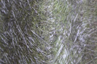 Llangynwyd fibreglass roof work